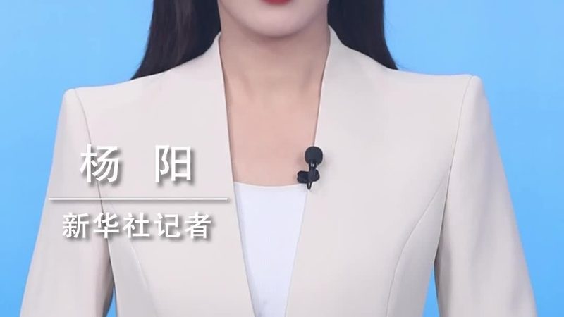企业搜索性能优化：揭秘提升效率的关键要素